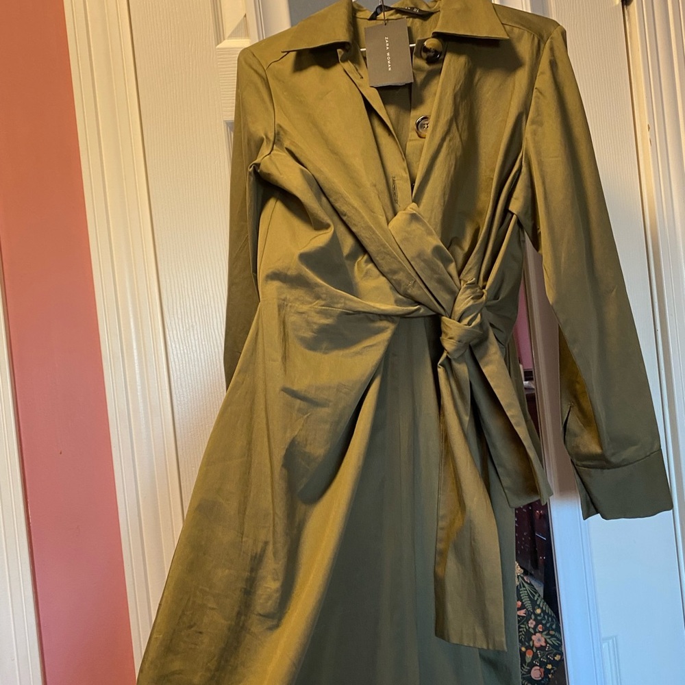 Zara Dress - Picture 5 of 6